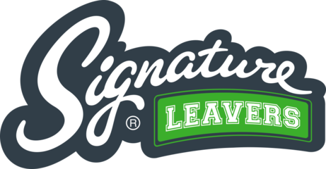 St. Mary's PS Killyleagh